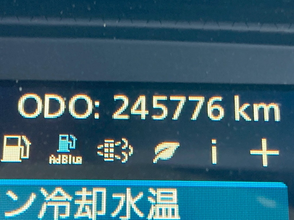 画像大 31枚目