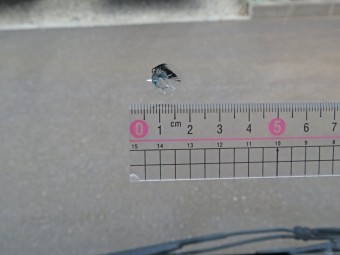 サムネイル 19枚目