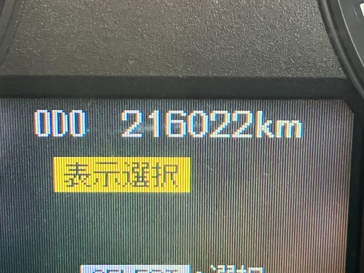 画像大 47枚目