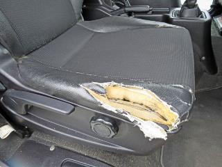画像小 33枚目