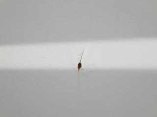 画像小 32枚目