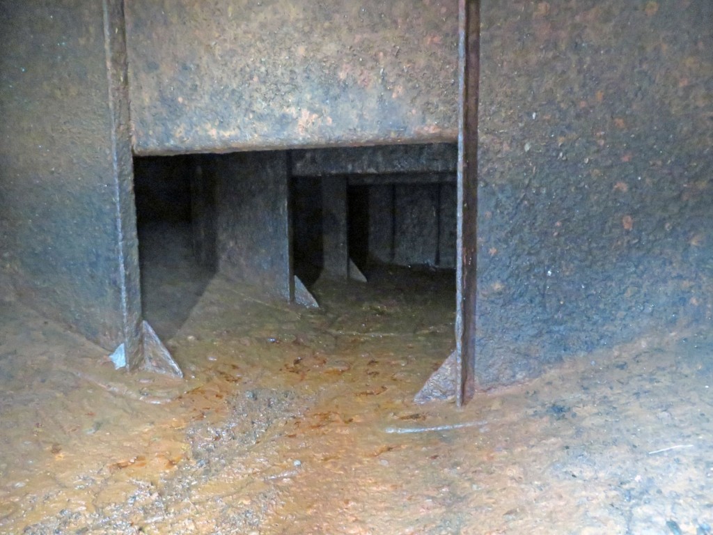画像大 15枚目