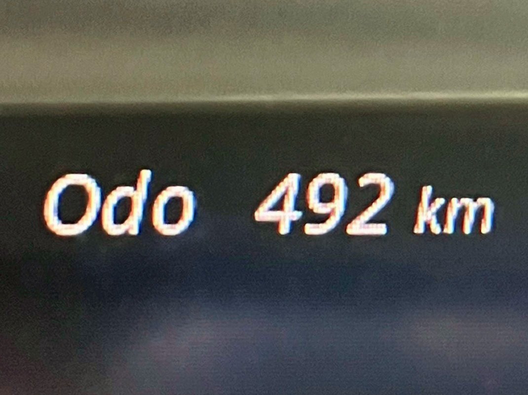 画像大 22枚目