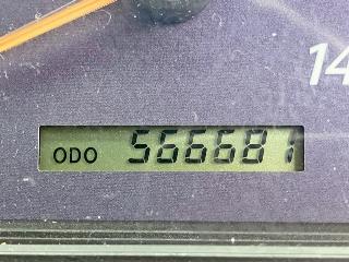 画像小 33枚目