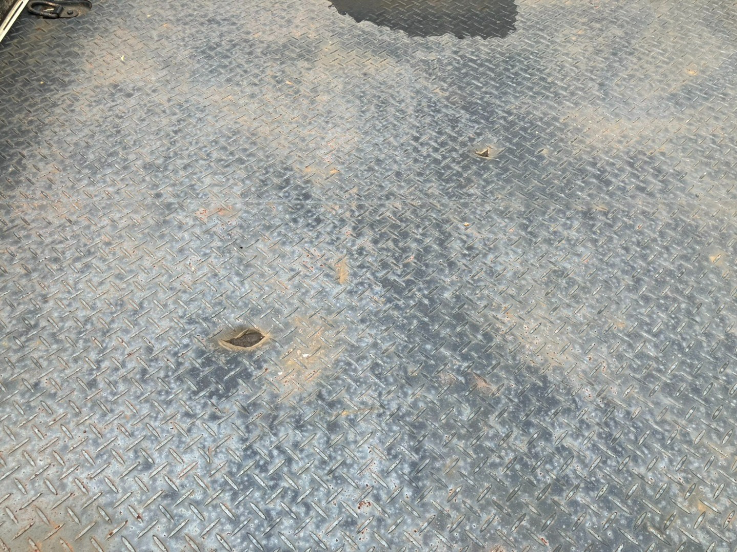 画像大 11枚目