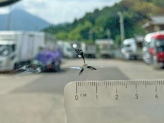 画像小 32枚目