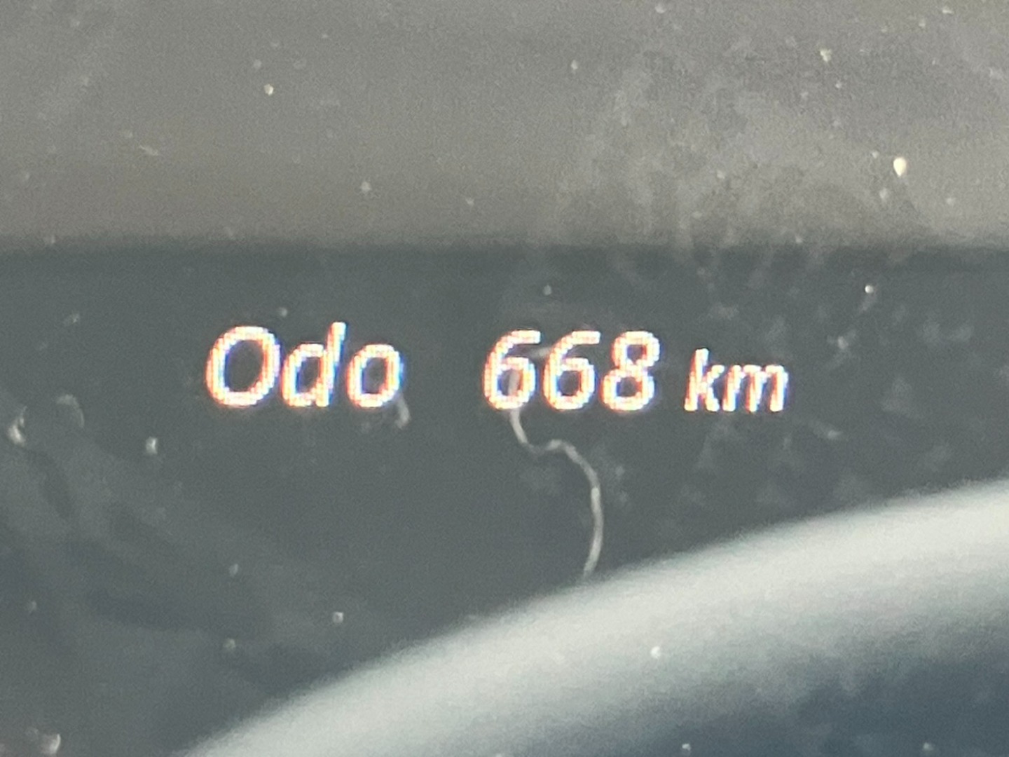 画像大 39枚目