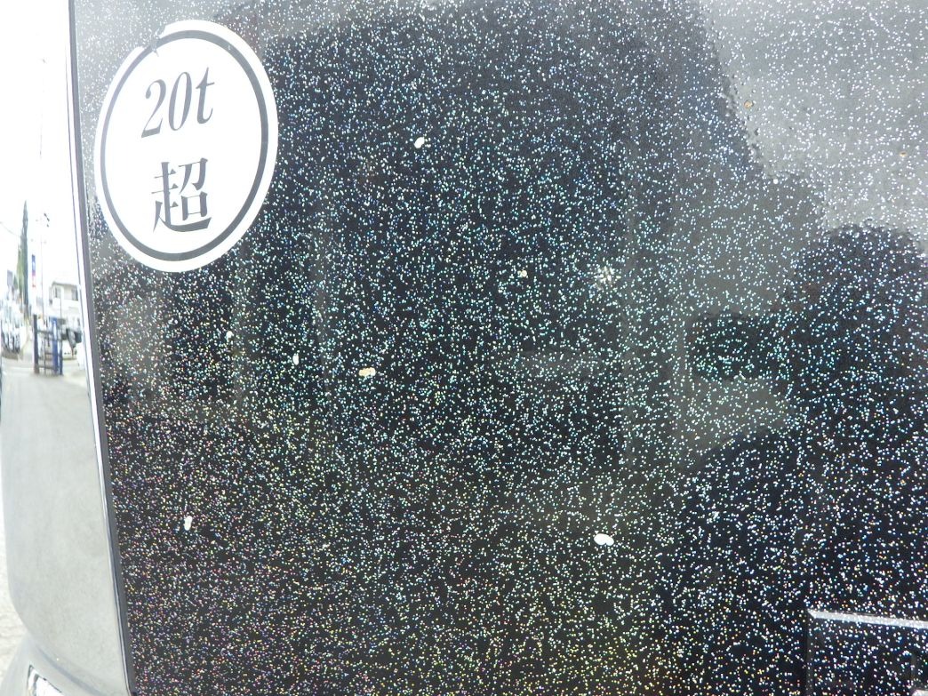 画像大 29枚目