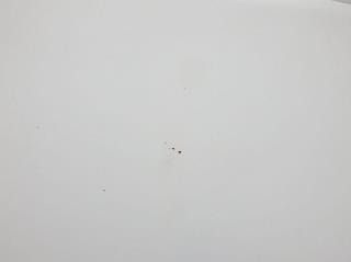 画像小 23枚目