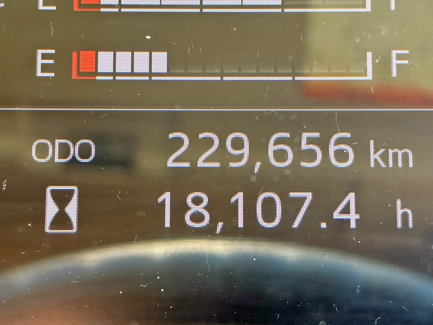 画像大 33枚目
