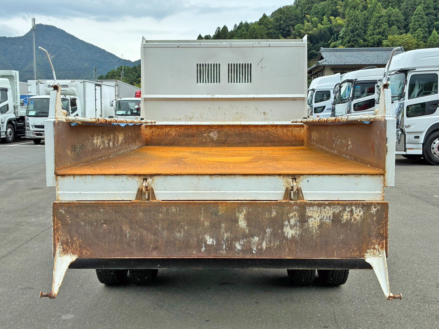 画像大 30枚目
