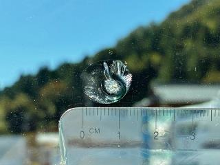 画像小 39枚目