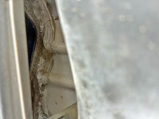 画像小 44枚目