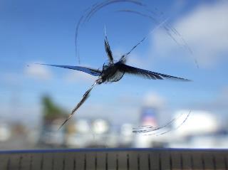 画像小 14枚目