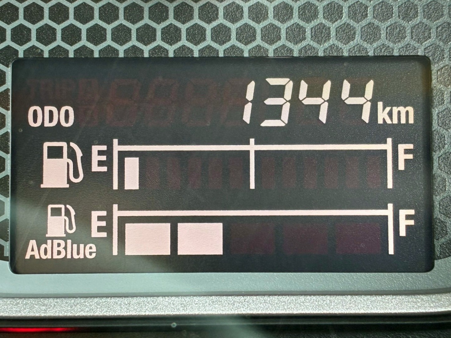 画像大 22枚目