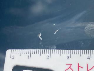 画像小 35枚目