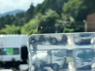 画像小 28枚目