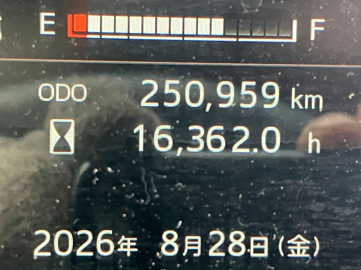 画像大 20枚目