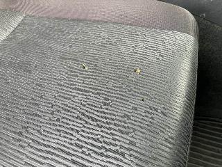 画像小 9枚目
