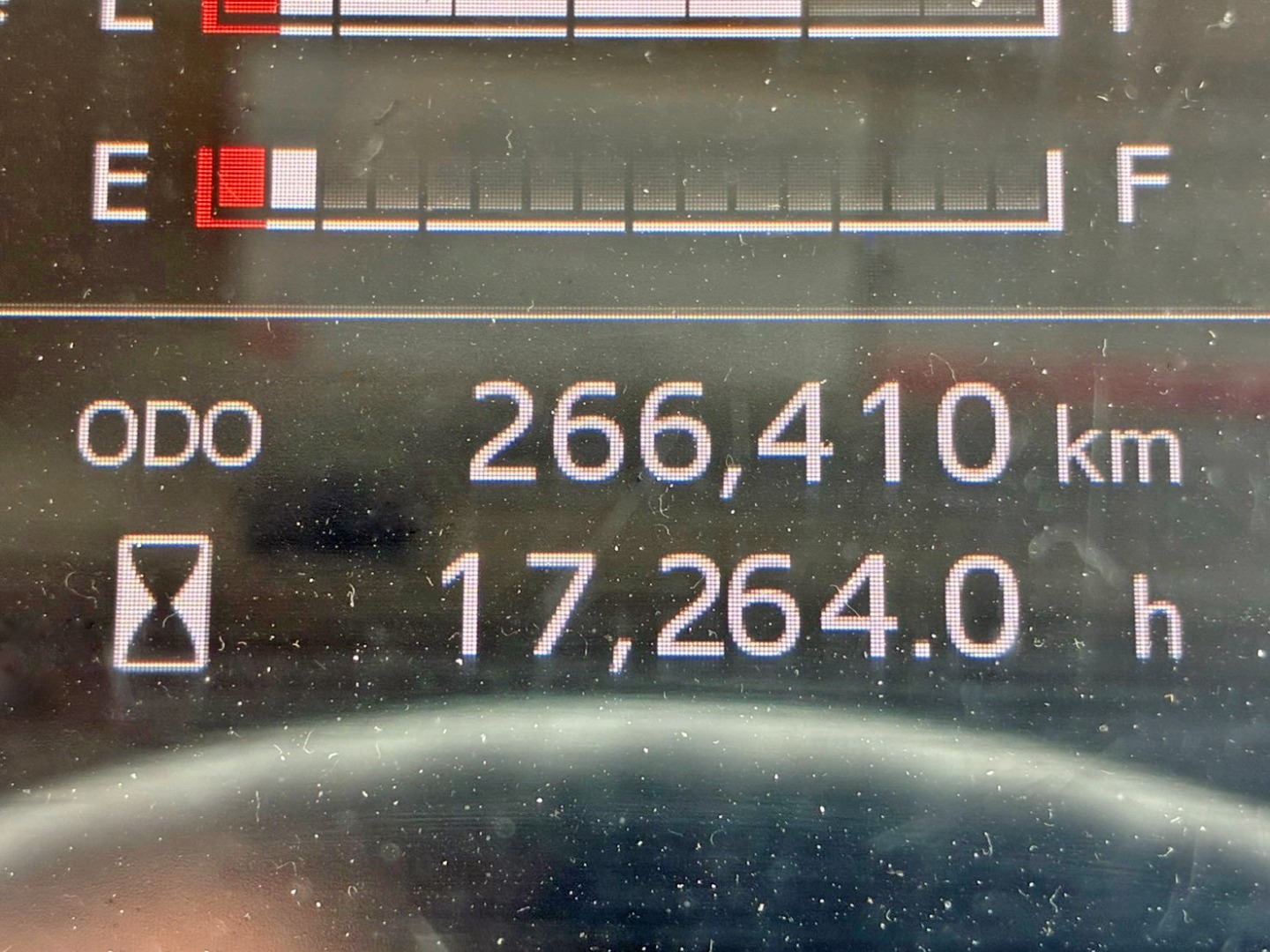 画像大 31枚目