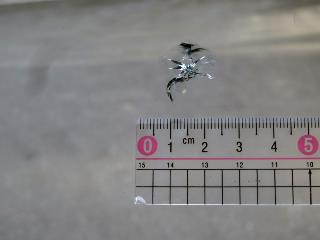 画像小 12枚目