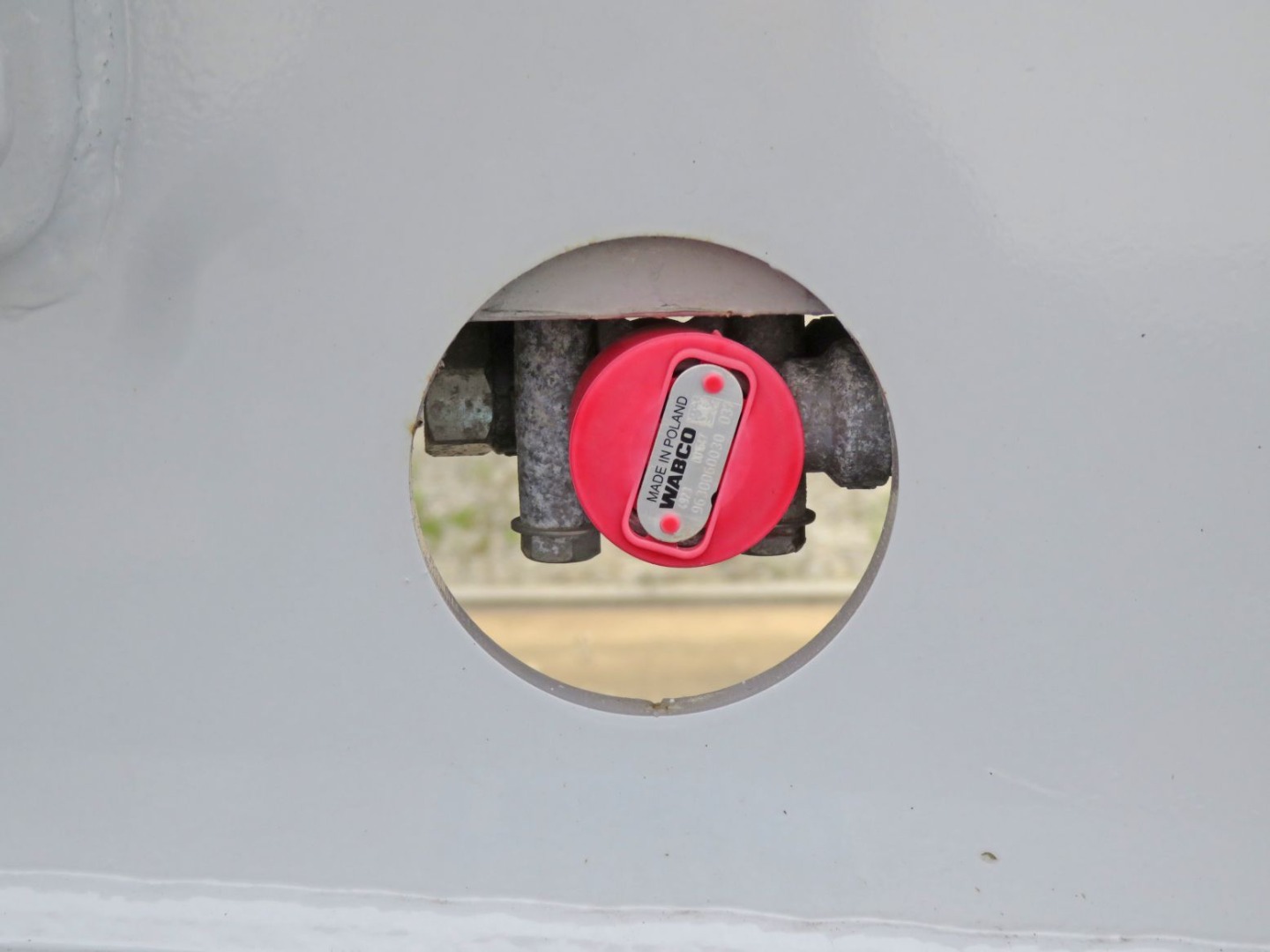 画像大 21枚目