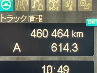 画像小 33枚目