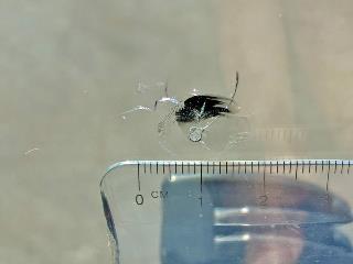 画像小 25枚目