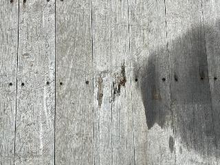 画像小 12枚目