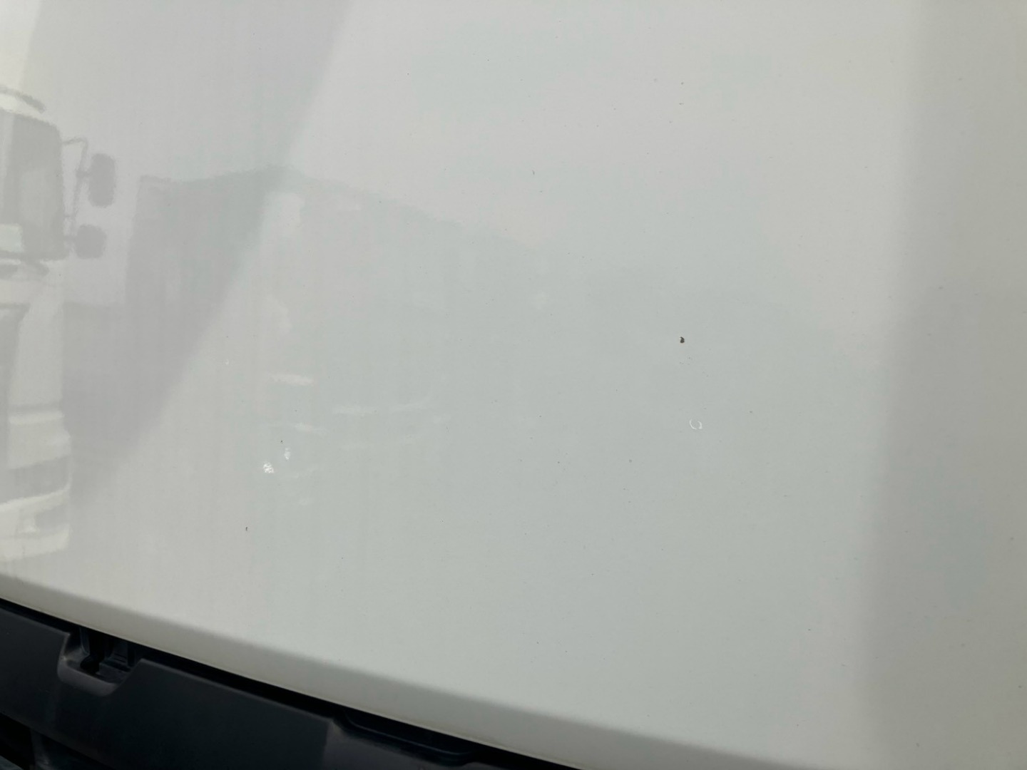 画像大 19枚目