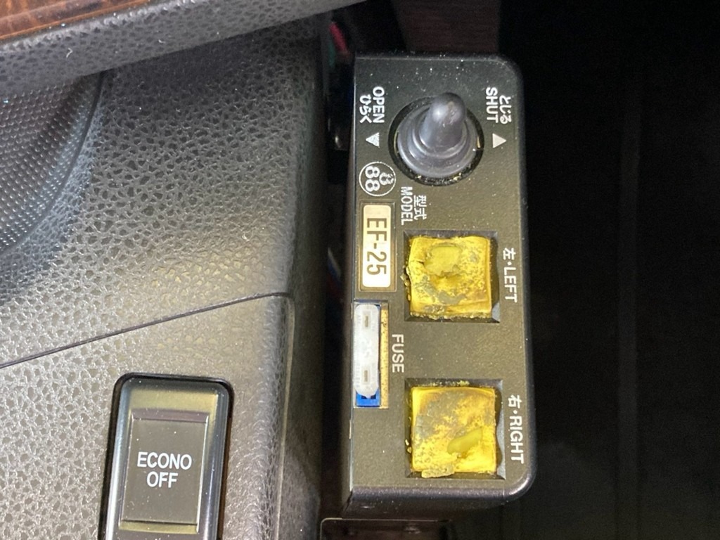 画像大 12枚目