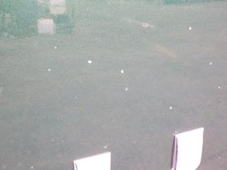 画像小 33枚目
