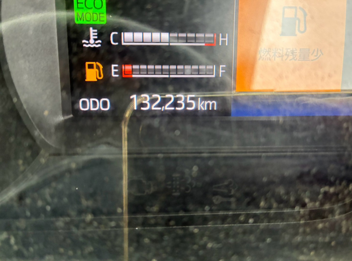 画像大 9枚目