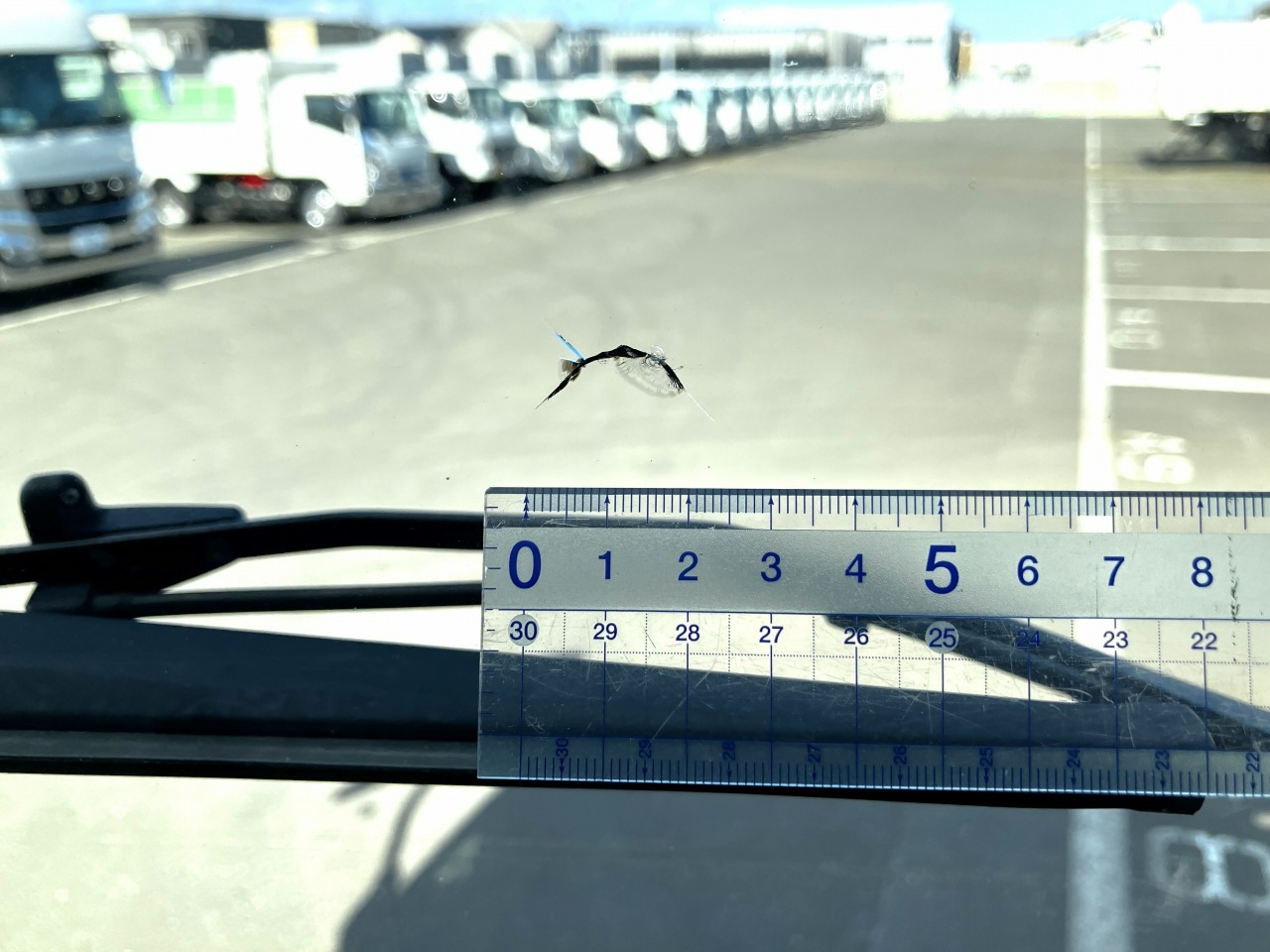 画像大 50枚目