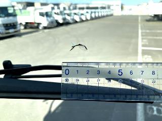 画像小 50枚目